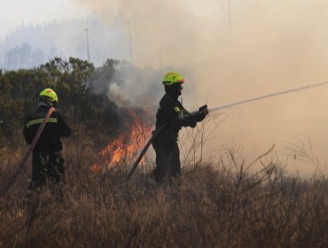 Onemi detalla situación de incendios forestales y nos descarta solicitar apoyo extranjero