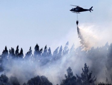 Onemi informa que 34 incendios forestales están activos: los más peligrosos afectan a Región del Biobío