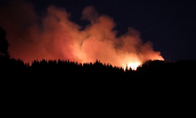 Onemi informa que hasta el momento se registran 22 incendios forestales activos