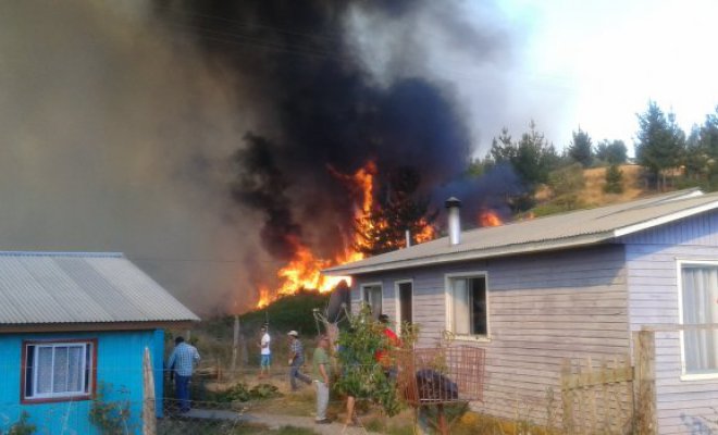 Incendio forestal amenazó de madrugada a 11 viviendas en la comuna de Santa Juana