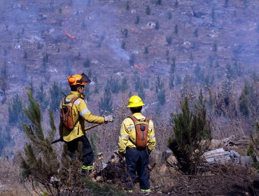 Controlan incendio forestal en Collipulli y Onemi levanta la alerta roja