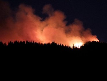 Onemi informa que hasta el momento se registran 22 incendios forestales activos