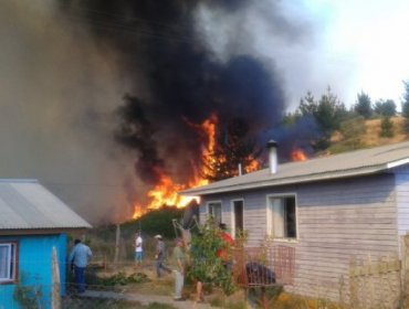 Incendio forestal amenazó de madrugada a 11 viviendas en la comuna de Santa Juana