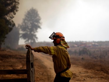 Controlan dos incendios forestales que arrasaban más de 50 hectáreas en la Región de La Araucanía