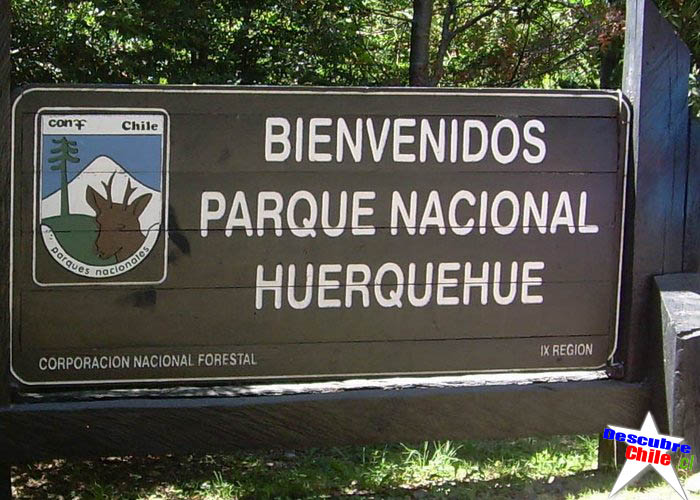 Desconocidos roban $3 millones desde la caseta de ingreso al Parque Nacional Huerquehue, en Caburgua