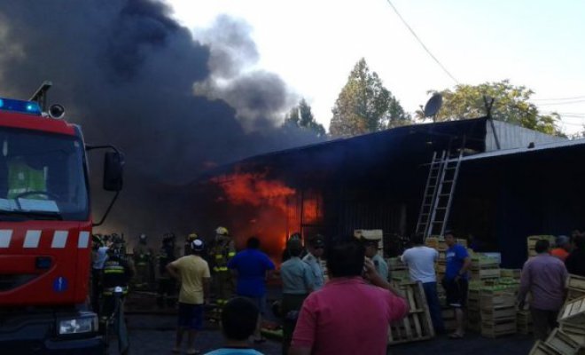 Incendio destruyó cerca de 20 locales en el parque industrial de Talca