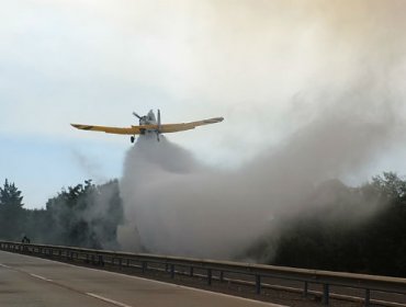 Ministro Rodrigo Peñailillo informa que se mantienen activos 22 incendios forestales