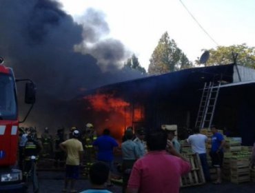 Incendio destruyó cerca de 20 locales en el parque industrial de Talca