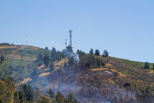 Más de 7.400 hectáreas se han quemado en La Araucanía