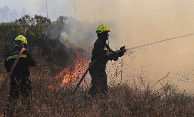 Bomberos de La Araucanía combaten incendio en sector de Codopille