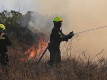 Bomberos de La Araucanía combaten incendio en sector de Codopille