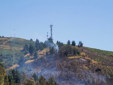 Más de 7.400 hectáreas se han quemado en La Araucanía