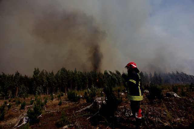 Balance del gobierno por incendios forestales: de 14 focos activos, 5 son los más peligrosos por cercanía a viviendas