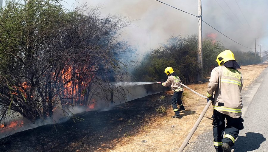 Evacuaron 100 casas en Curacaví por incendio forestal que habría sido provocado por taller de soldadura