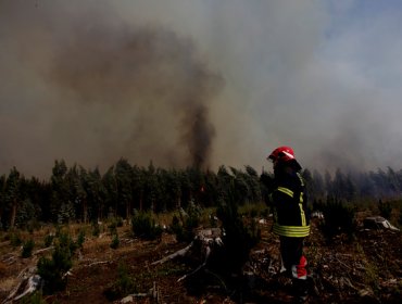 Balance del gobierno por incendios forestales: de 14 focos activos, 5 son los más peligrosos por cercanía a viviendas