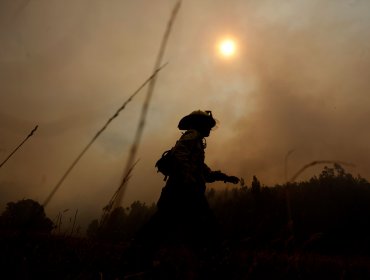 Declaran alerta roja por incendio forestal en Curacaví: Llamas amenazarían a 100 casas