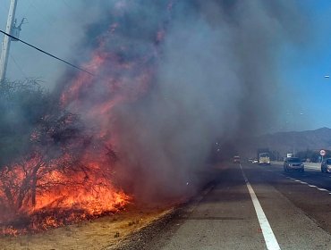 Atribuyen a trabajos de soldaduría incendio declarado esta tarde en Curacaví