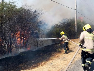 Evacuaron 100 casas en Curacaví por incendio forestal que habría sido provocado por taller de soldadura