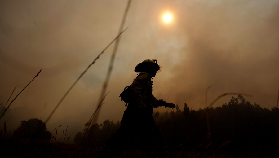 Declaran alerta roja por incendio forestal en Curacaví: Llamas amenazarían a 100 casas