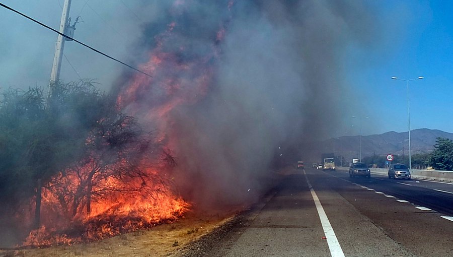 Atribuyen a trabajos de soldaduría incendio declarado esta tarde en Curacaví