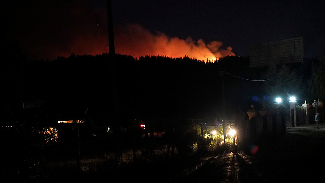 Bomberos controló incendio forestal que amenazaba casas en Hualqui