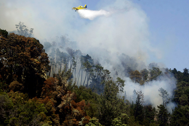 Fiscal de Chaitén efectuó sobrevuelo a incendio forestal en Palena y encargó diligencias para aclarar causas