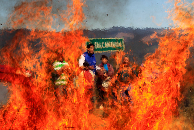 Mira las imágenes del incendio forestal en Talcamávida, comuna de Hualqui