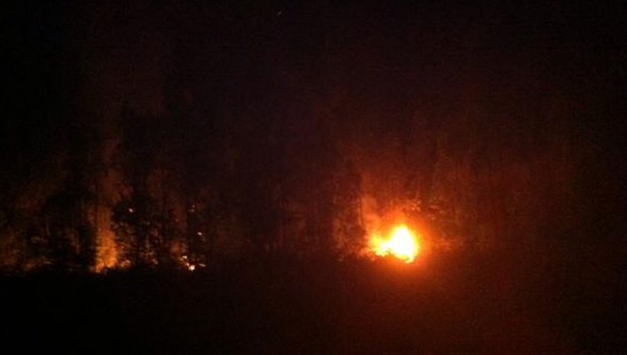 Incendio forestal en Hualqui amenaza casas del sector