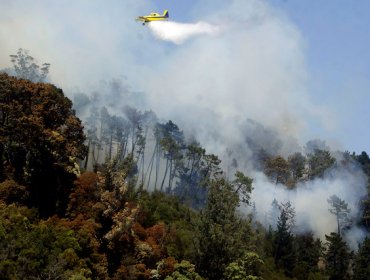 Fiscal de Chaitén efectuó sobrevuelo a incendio forestal en Palena y encargó diligencias para aclarar causas