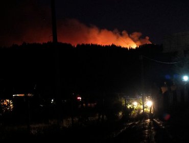 Bomberos controló incendio forestal que amenazaba casas en Hualqui