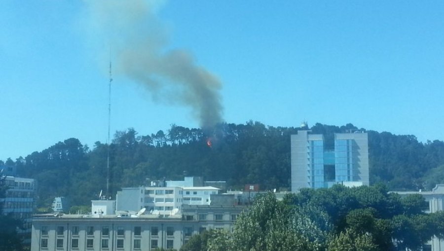 Incendio afecta a Cerro Caracol en Concepción