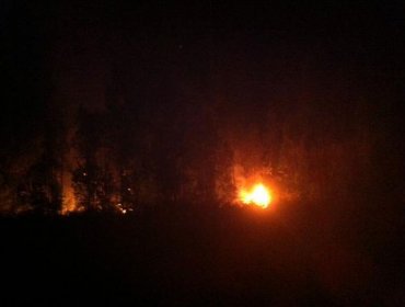 Incendio forestal en Hualqui amenaza casas del sector