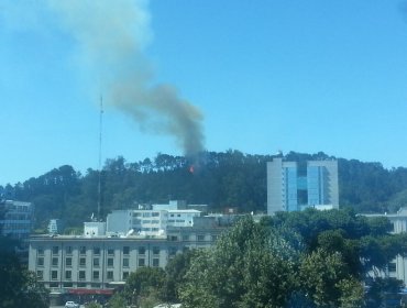 Incendio afecta a Cerro Caracol en Concepción