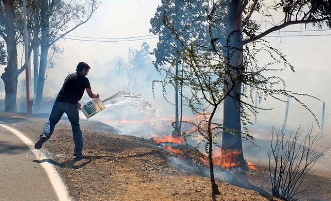 La sequía, el gran problema que dejan al descubierto incendios forestales en La Araucanía