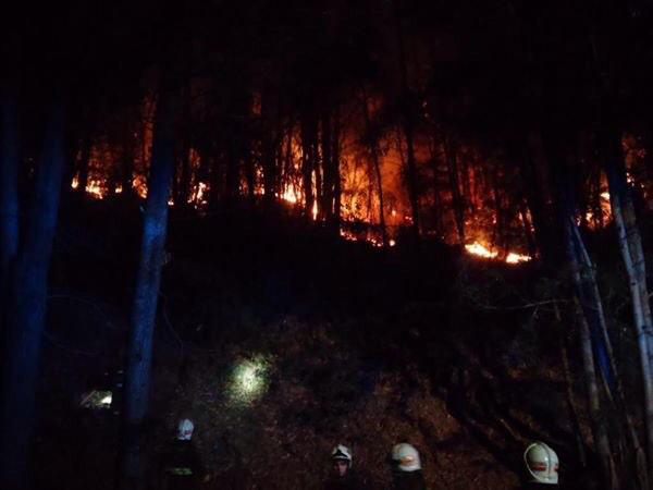 Incendio en San Pedro de la Paz provoca cierre de Ruta de la Madera