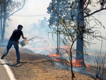 La sequía, el gran problema que dejan al descubierto incendios forestales en La Araucanía