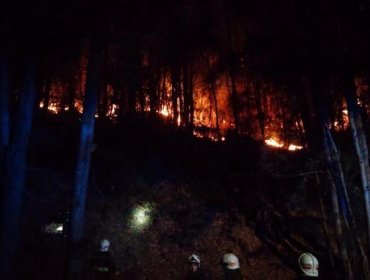 Incendio en San Pedro de la Paz provoca cierre de Ruta de la Madera