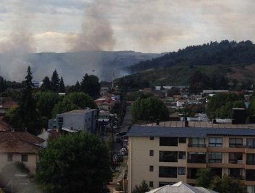 Incendios en Temuco amenazan a viviendas que se encuentran en el sector