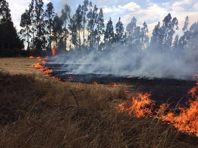 Este viernes brigadistas argentinos se suman a labores de combate de incendios forestales