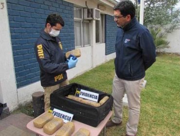 PDI de La Calera incauta 16 kilos de cocaína con destino a Santiago