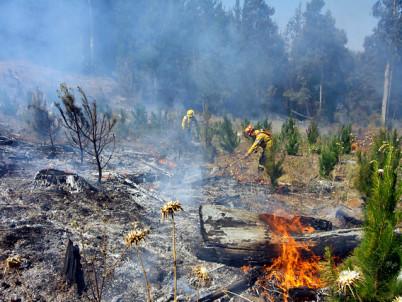 12 focos de incendio permanecen activos en la Octava Región