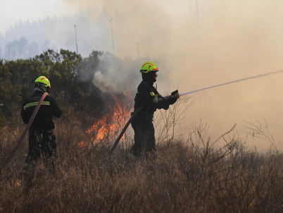 Se mantienen 29 incendios forestales activos entre Maule y Aysén