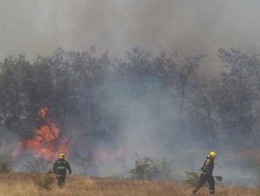 Levantan Alerta Roja en región del Biobío tras control de incendios forestales