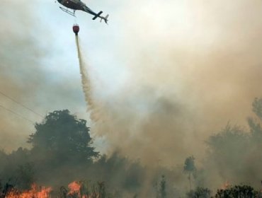 Conaf en alerta por temperaturas que afectarían en la iniciación de nuevos focos de incendio