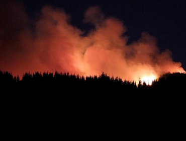 Se mantiene alerta roja en Chiloé por incendios que ya suman 300 hectáreas consumidas por el fuego