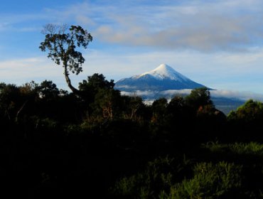 Alerta roja en Puerto Varas por incendio forestal al interior de Parque Vicente Pérez Rosales