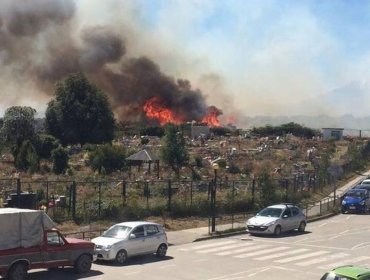 Según informe de la Onemi se registran 73 incendios activos en el país