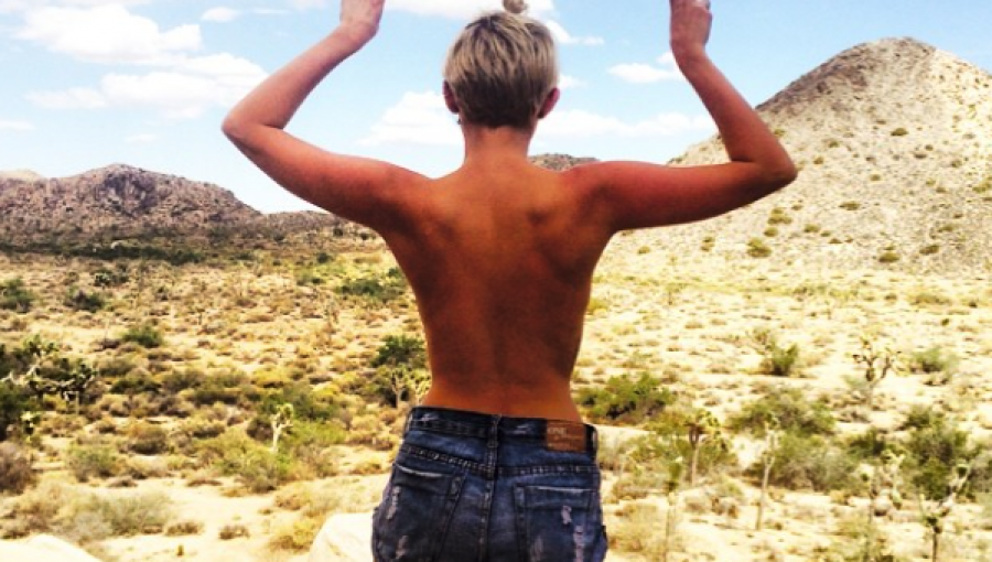 Publican álbum fotográfico de los desnudos más provocativos de Miley Cyrus