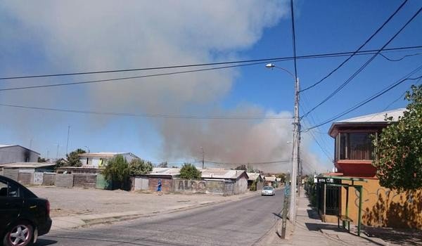 Incendio forestal afecta a predios del Regimiento de Infantería N° 9 en Chillán Viejo