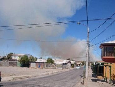 Incendio forestal afecta a predios del Regimiento de Infantería N° 9 en Chillán Viejo